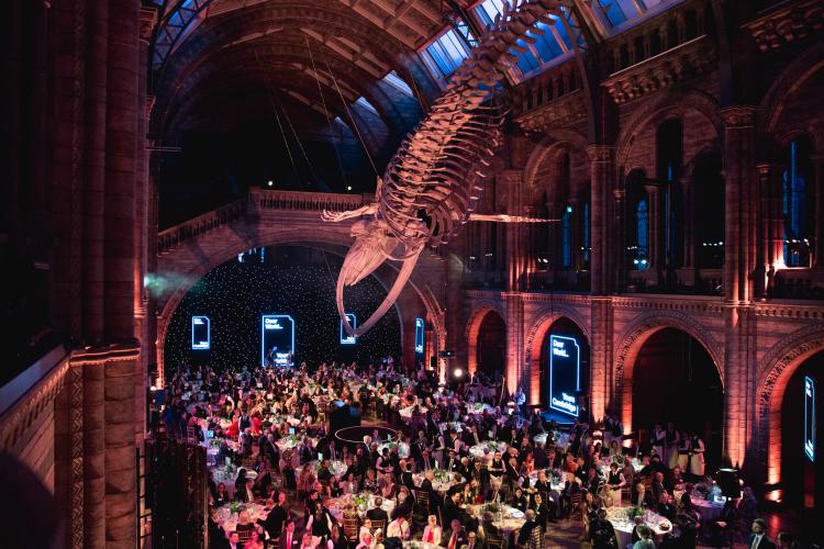 Natural History Museum event