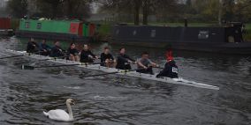 Queens' crew rowing in the Fairbairn Cup with a swan in the foreground