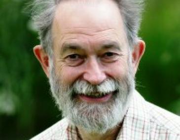 Professor David R Ward
